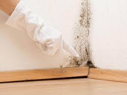 Why You Should Choose Our Mold Remediation Services in Dover Beaches South, NJ